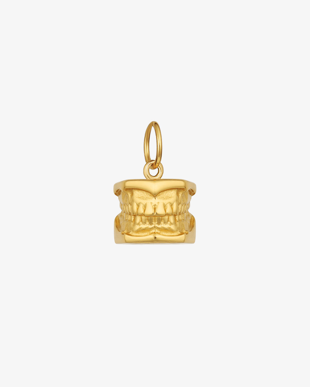 Typodont (Dental Model) Pendant Charm